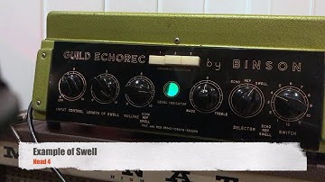 Happiness is a fully restored Bison Echorec 2