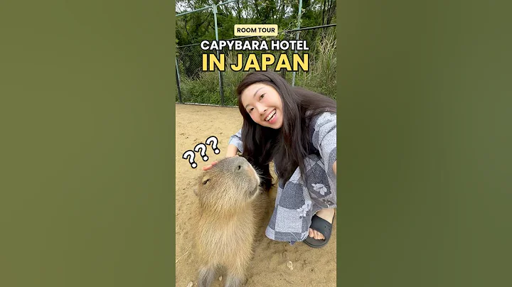 Capybara Hotel Room Tour In Japan #japan