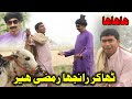 Ramzi Cow Chor-Thakar Tharki new funny comedy scenes By Haider Production
