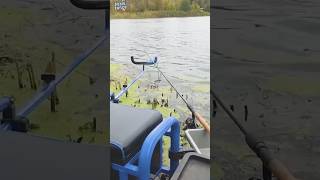 Как разместить фидер в ветренную погоду поздней осенью  #assistancetv #рыбалка  #рыбалканафидер