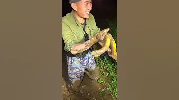 Top Viral Amazing Fishing Eel Fishing From Hole Using Hook TIK TOK 