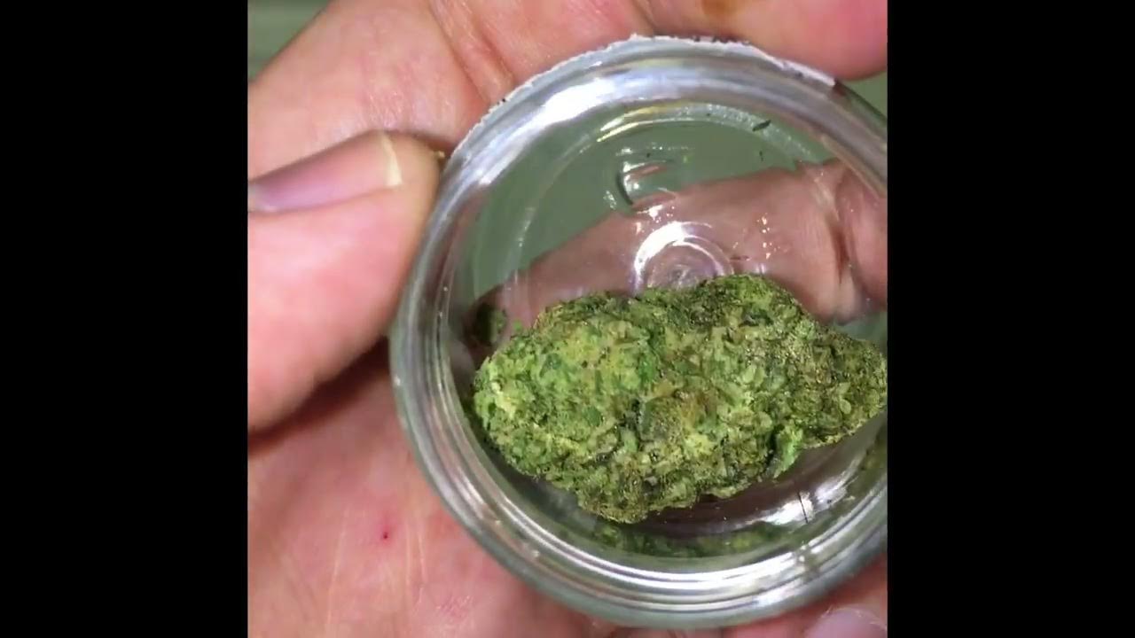 Purlife Purple Octane x Jealousy review YouTube