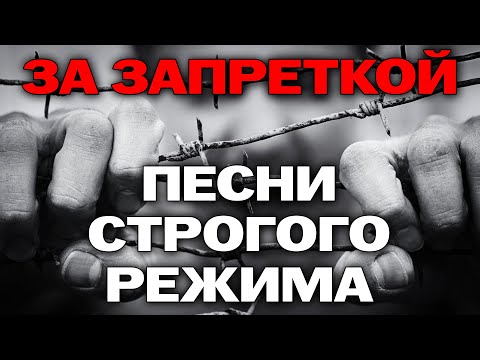 За запреткой - Песни строгого режима - Отборный блатняк @rushanson #блатныепесни #шансон #блатняк