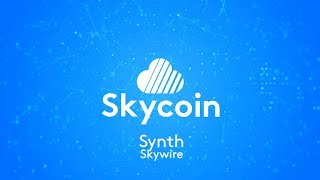 Skycoin Synth Speaks: Skywire, Blockchain 3.0, and the Future Business & Telecommunications