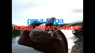 Рыбалка на Сома на реке Сура- Ловля сома в июне- Ловля на ракушку