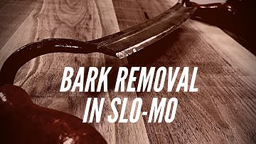 How To Remove Bark from Live Edge Slab in SLO-MO
