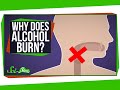 Why Does Alcohol Burn When You Drink It?