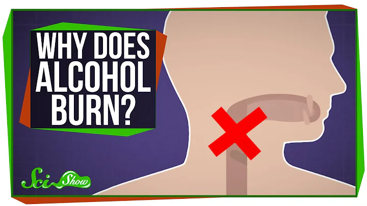 Why Does Alcohol Burn When You Drink It? - DayDayNews