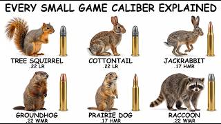 The Best Caliber for Every Small Game Animal in North America screenshot 1