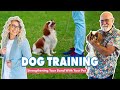 Consistency  clear instructions in dog training