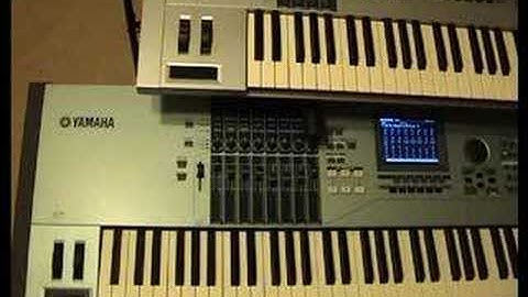 Motif Xs : Organimation XS English part2