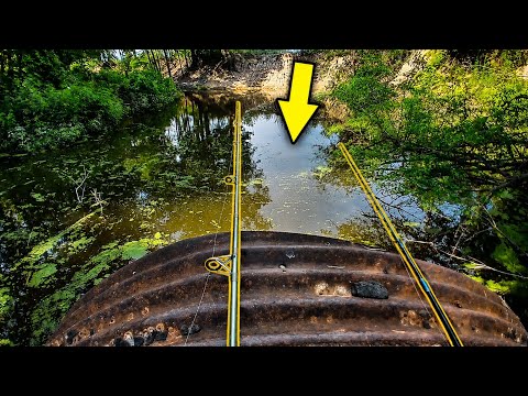 Fishing Drainage Pipes For BIG Bowfin & Gar