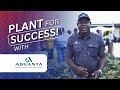 Plant for success with advanta seeds internationals superior genetics