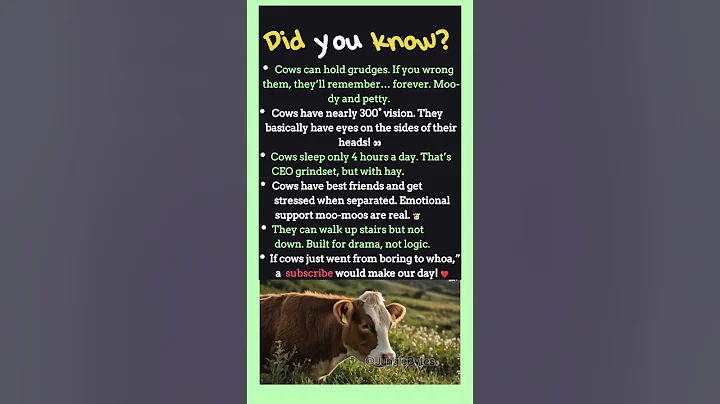 Hilarious Cow Facts You’ve Never Heard! 🐄 #facts #animal #animalfacts #didyouknow #cow #cows