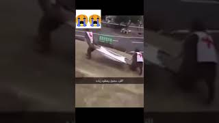 القرد مخنوق وخنقوه زياده