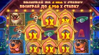 ФИФИЧ ВЫИГРАЛ ПОЛ МИЛИОНА В THE DOG HOUSE ЭТО ПРОСТО ...