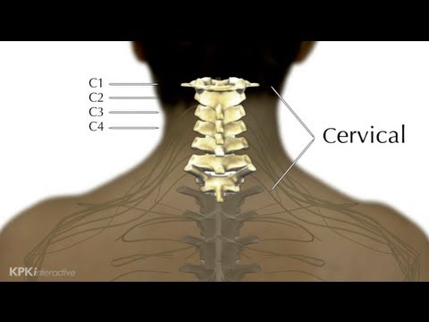 5A. Levels of Injury Explained - High Cervical - Spinal Cord Injury 101