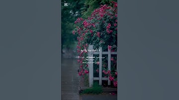 سورة الكرسي #عبدالرحمن_مسعد #fyp