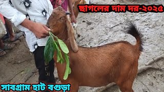 বিভিন্ন সাইজের ছাগলের দাম দর জানুন||সাবগ্রাম হাট বগুড়া||Goat price bd-2025||ছাগলের দাম দর-২০২৫||
