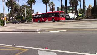 Skybus St Kilda
