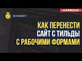 ПЕРЕНОС САЙТА С ТИЛЬДЫ НА СВОЙ ХОСТИНГ С РАБОЧИМИ ФОРМАМИ