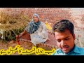 ab hamari Kismat ka khel hai 🤔 bakhtoo Family vlogs pak village