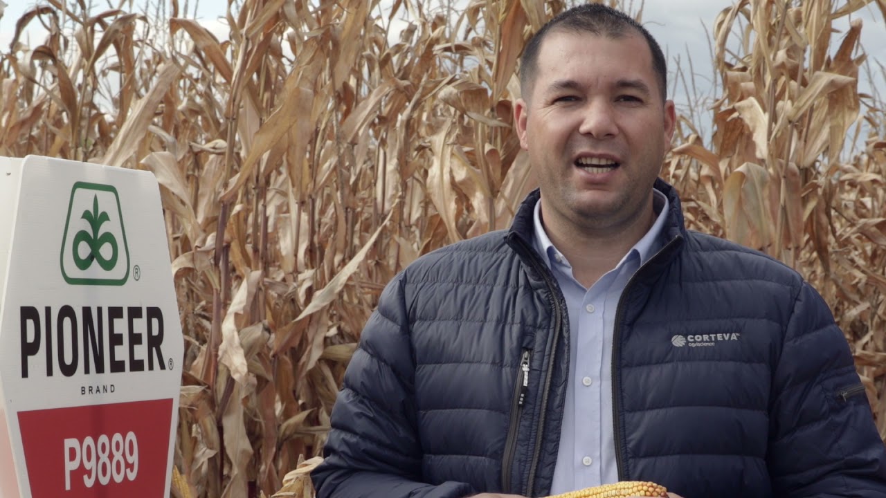 Platforma de porumb Corteva din Grupul de firme TCE 3 Brazi, Neamț