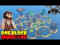 Minecraft Oneblock Skyblock, but It&#39;s Hardcore [Finale]