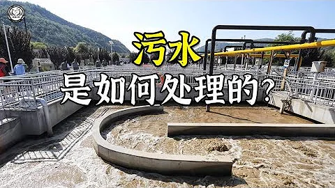 生活污水是如何处理的？2分钟带你了解，生活污水处理全过程 - 天天要闻