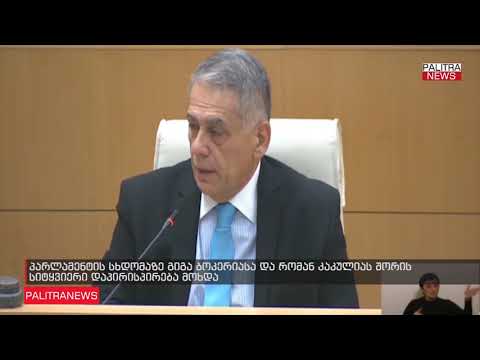 გიგა ბოკერიასა და რომან კაკულიას შორის სიტყვიერი დაპირისპირება მოხდა