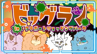 【ビッグラン】シャケをシバき続けろ！！【コラボ枠】