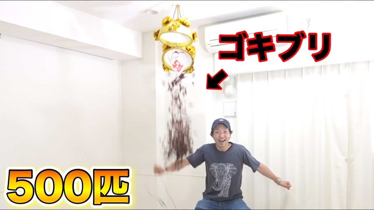 ドッキリ】誕生日にくす玉から500匹のゴキブリが降って来たら