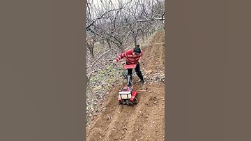 Small gasoline micro-tillage machine weeding machine trenching machine👏🏽👏🏽