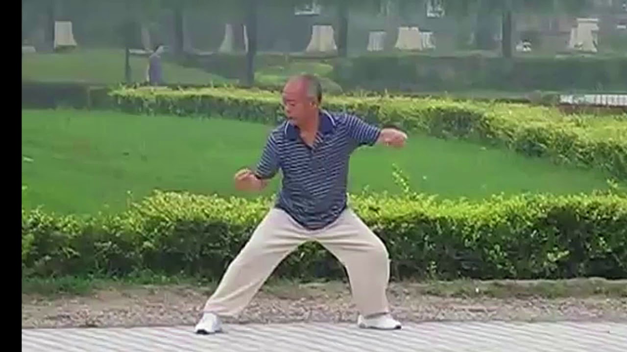 Master Han Kui Yuan 2012