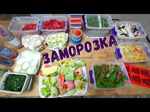 ЗАМОРОЗКА ОВОЩЕЙ 🥕👍Как правильно заморозить овощи на зиму