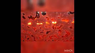 Flagship Car Wash Vienna Virginia