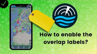 How to enable the overlap labels on ShipXplorer