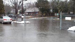 Puddle Jumping 4