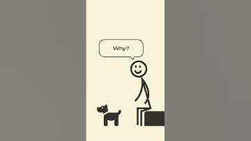 Programming jokes Part 2 #shorts
