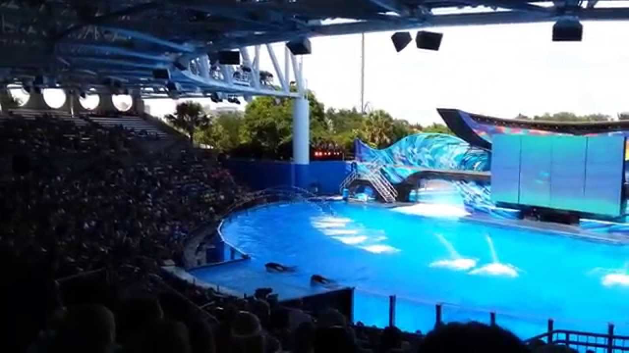 One Ocean Sea World Orlando - YouTube