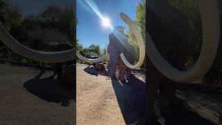Ruta del Mamut y Laguna del Padul 🦣
