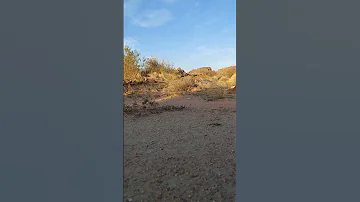Wadi Tandaha Dam Lake Khamis Mushayt 