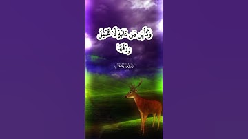 ﴿ٱلَّذِينَ صَبَرُوا۟ وَعَلَىٰ رَبِّهِمْ يَتَوَكَّلُونَ﴾تلاوة خاشعة بصوت ماهرالمعيقلي #quran #allah