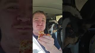 I can eat this slice of pizza before my dog can #mindgame #pizza #dog #foodchallenge