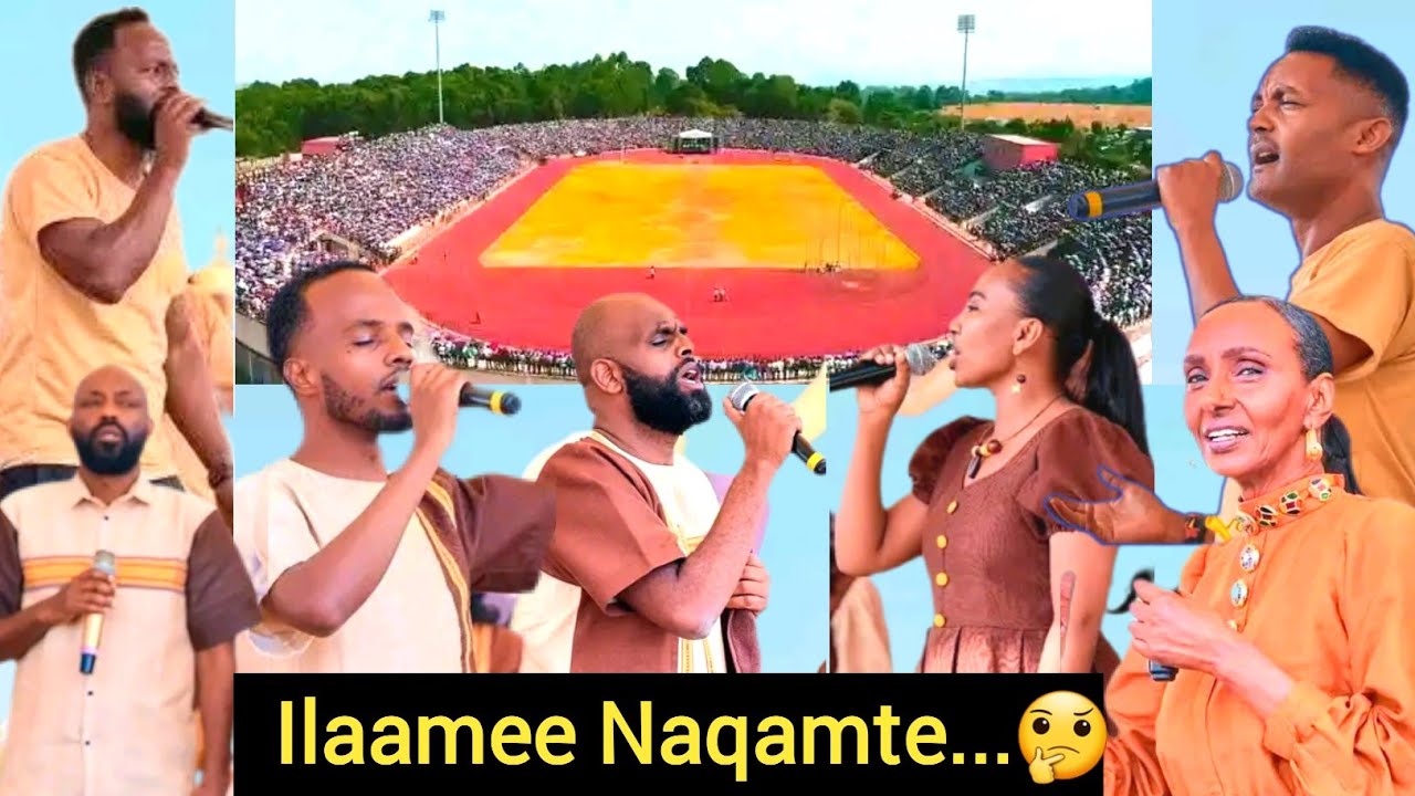 🔴Sagantan Hafuura Ilaameen Ministry Magalaa Naqamte Qopheessee Turee Mo'ichaa Guddaan Golabame.  