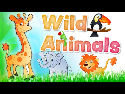 The ANIMALS for kids - Wild animals english vocabulary