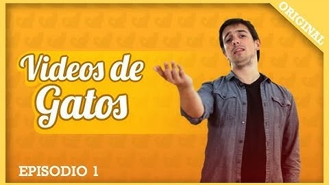 Videos de Gatos: Episodio 1