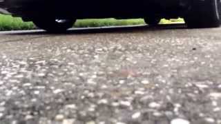 Stanced 2013 honda civic si on Megan ez street coilovers