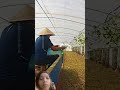#farming #amazing #fact #trending #technology #ytshorts #video