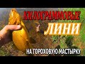 Рыбалка на Линя. Ловля Крупных Линей на Гороховую Мастырку. Флет